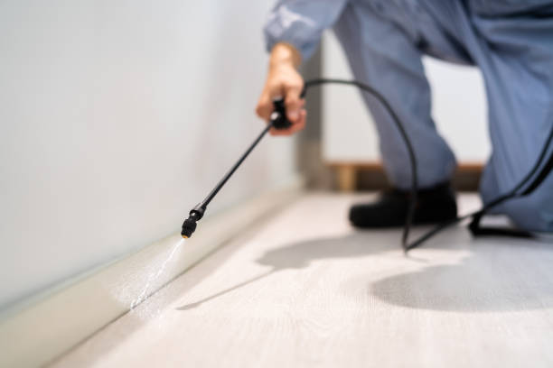 Licensed Pest Control service in Denmark, SC - Show Me Pest Control