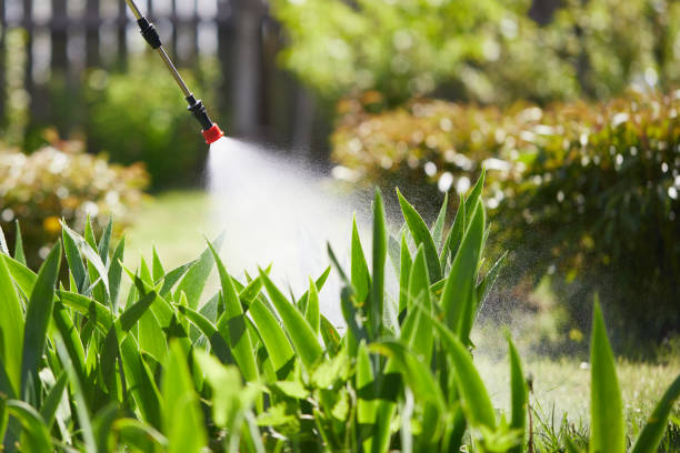 24/7 Emergency Mosquito Control experts in Denmark, SC