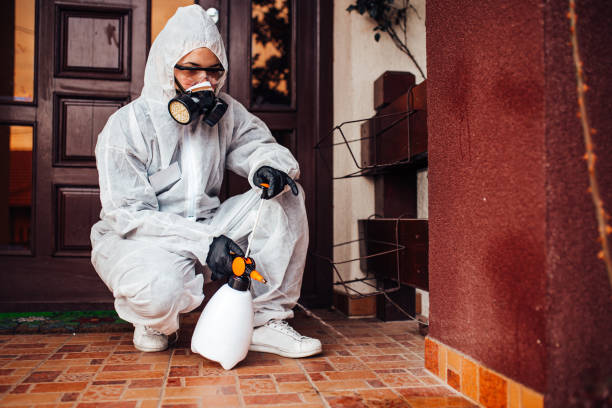 Reliable Mosquito Control contractor in Denmark, SC by Show Me Pest Control